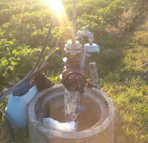 Terreno a Eboli in Localita Cioffi - Foto 3