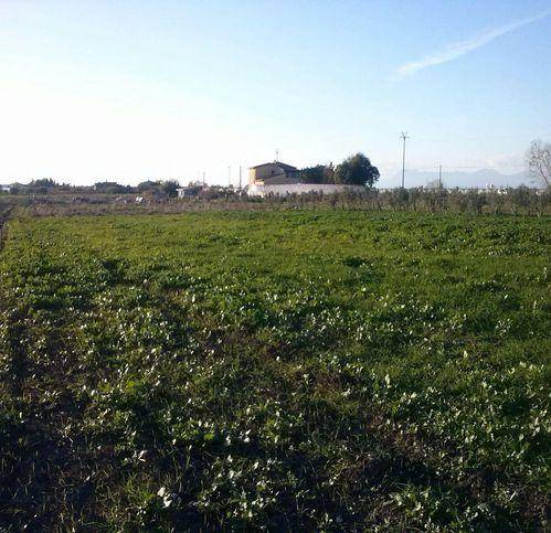 Terreno a Eboli in Localita Cioffi - Foto 4