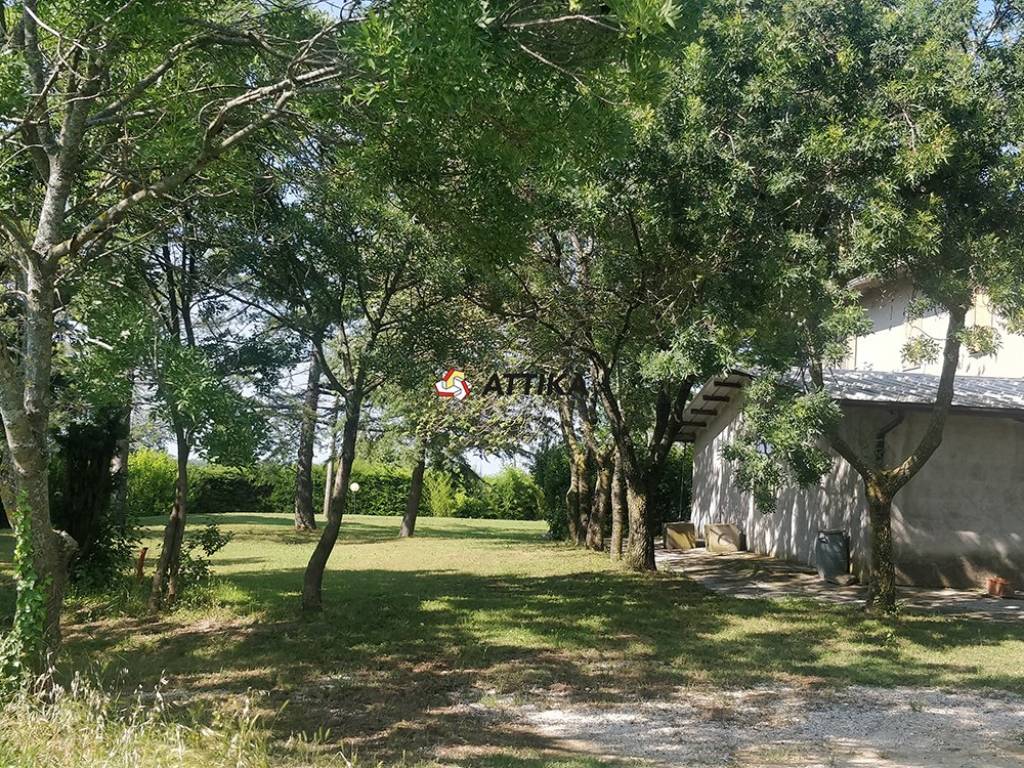 Rustico / casale a Fano in Strada Comunale di Monte Giove - Foto 5