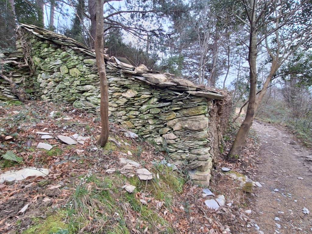 Terreno a Genova in Via Serra di Santa Maria Maddalena - Foto 3