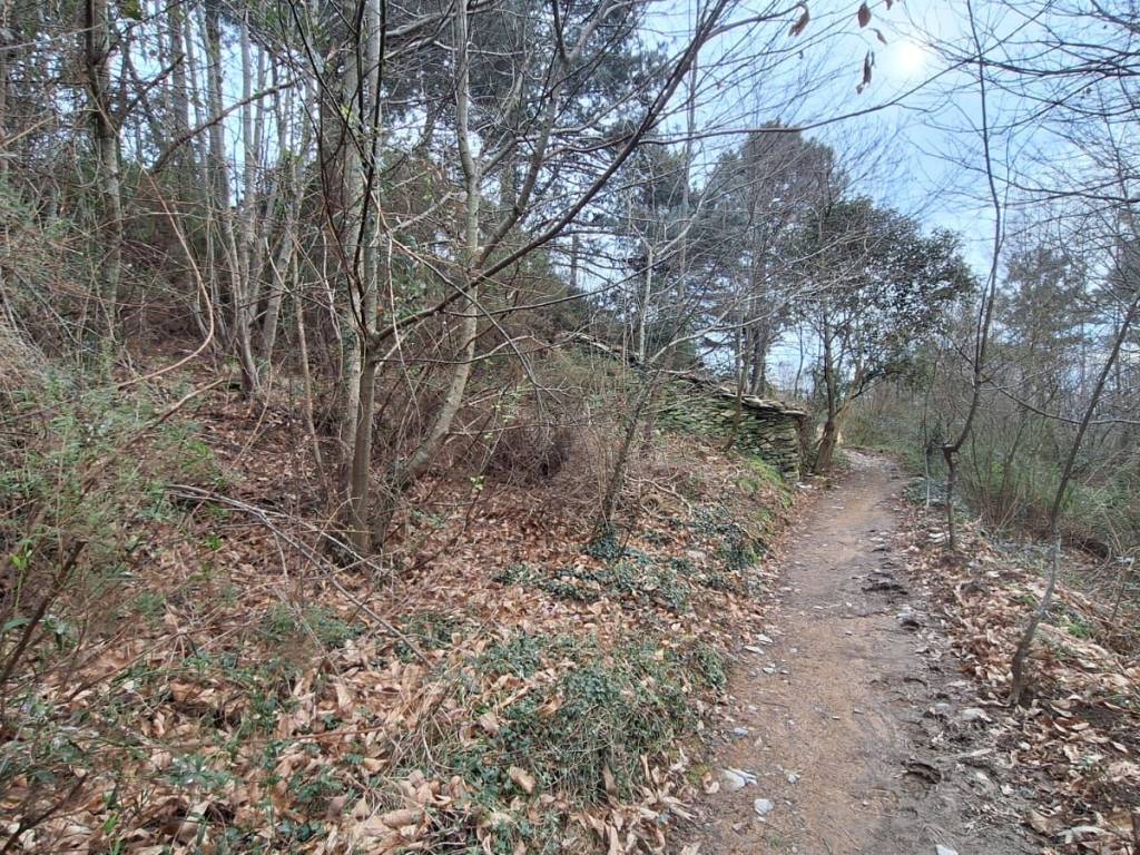 Terreno a Genova in Via Serra di Santa Maria Maddalena - Foto 4