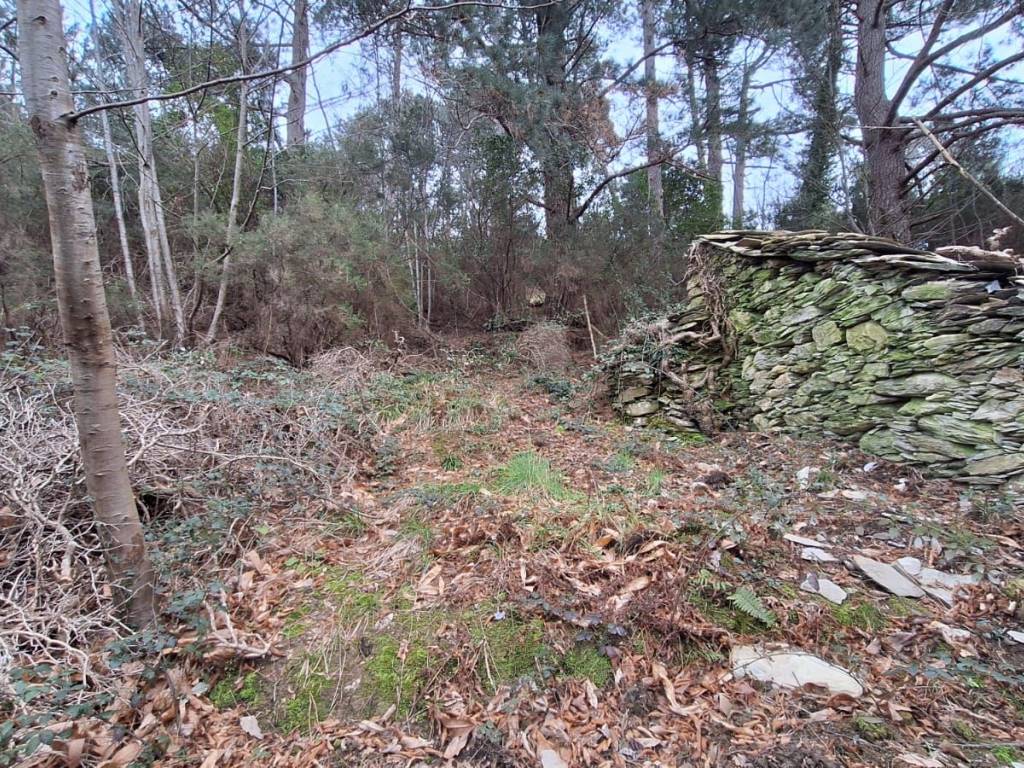 Terreno a Genova in Via Serra di Santa Maria Maddalena - Foto 5