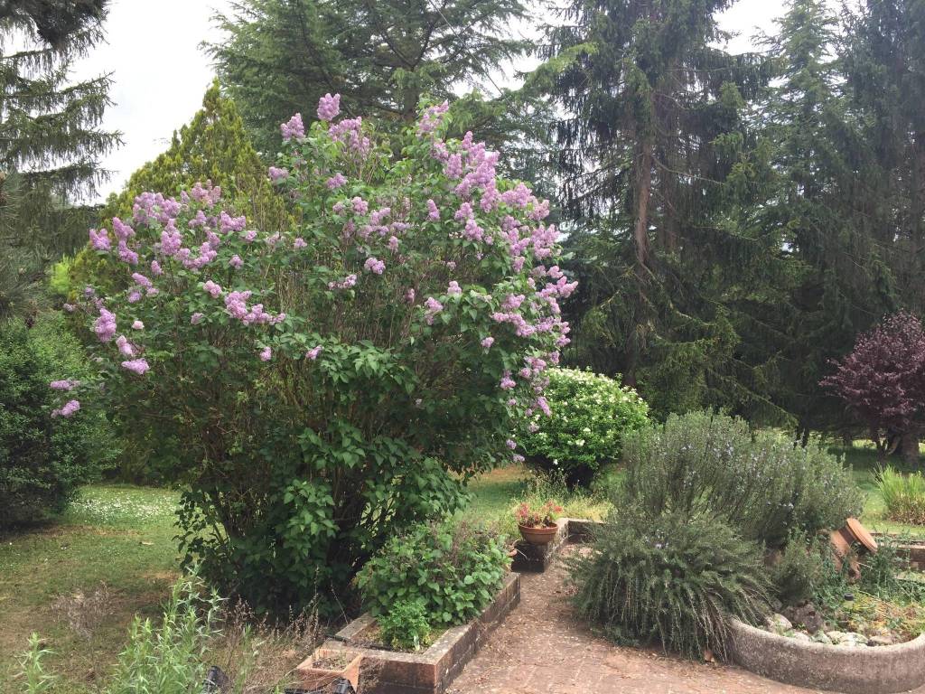 Villa a Rocca di botte in Via Vaglie - Foto 4