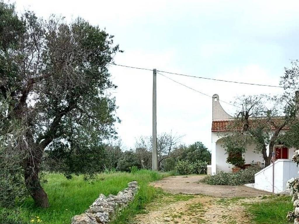 Terreno a Ostuni in contrada martucci lamacoppa part. 104 - Foto 5