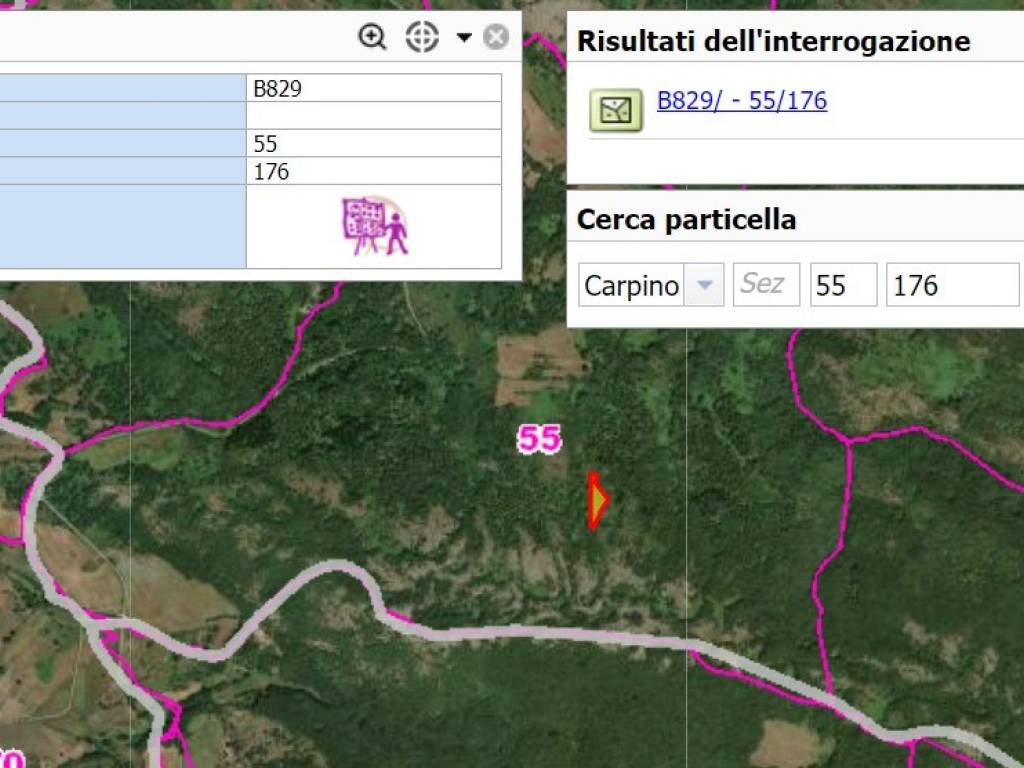 Terreno a Carpino - Foto 2