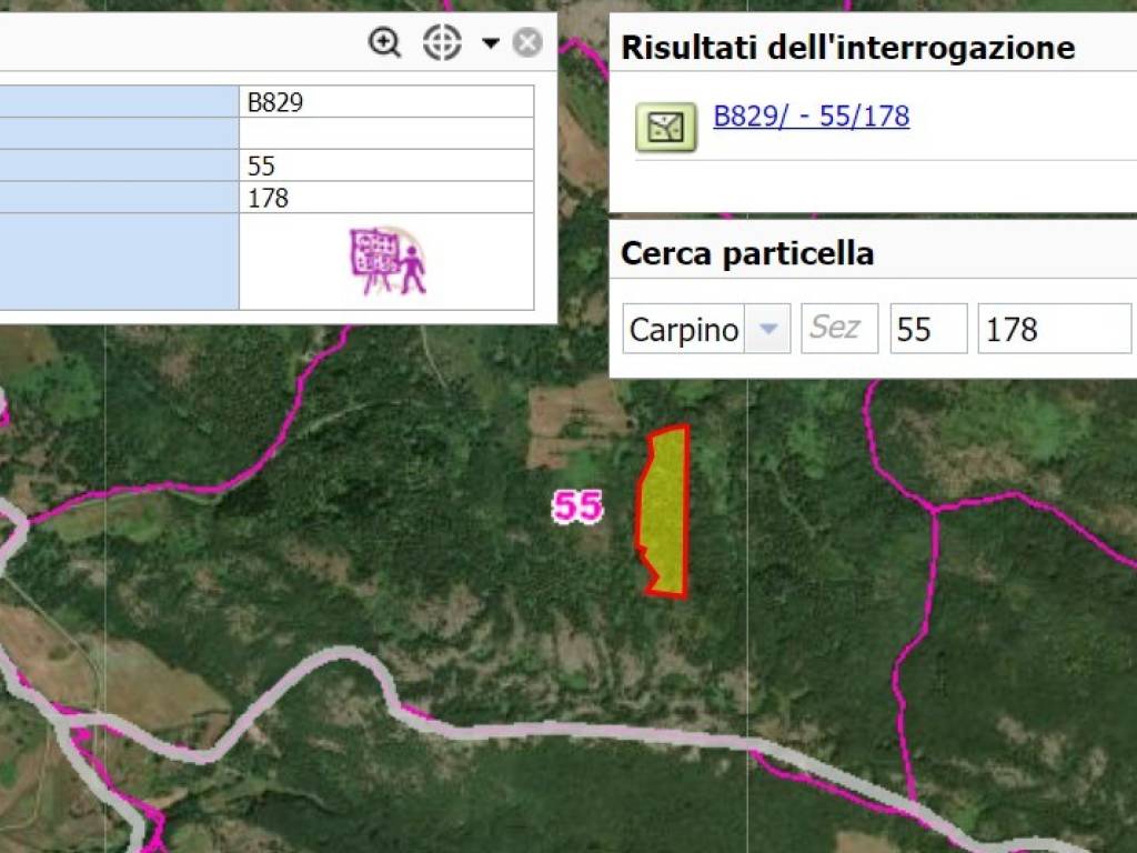 Terreno a Carpino - Foto 3