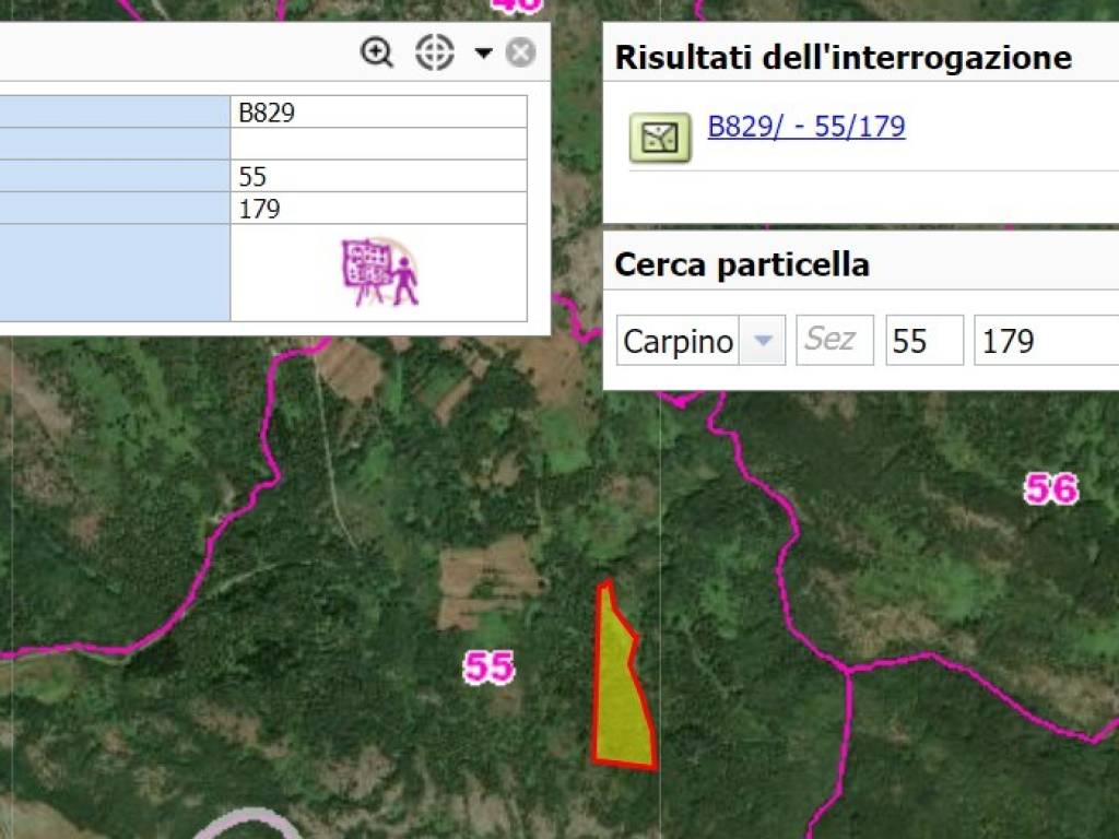 Terreno a Carpino - Foto 4