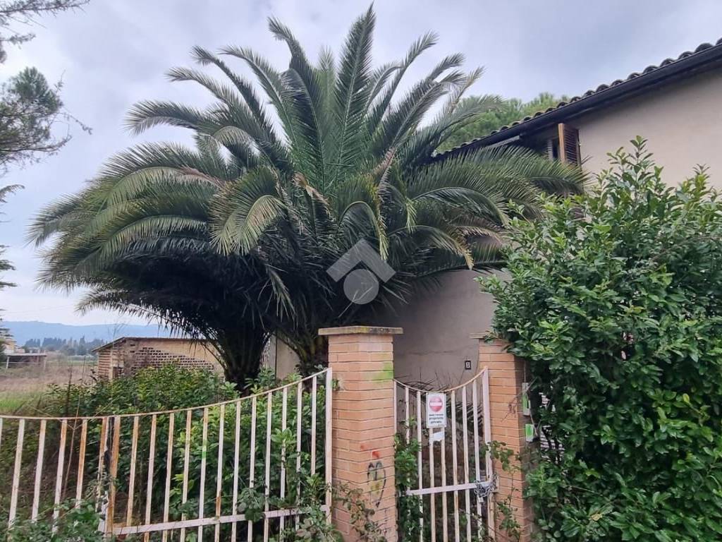 Casa indipendente a Cannara in Via Don Bosco - Foto 3