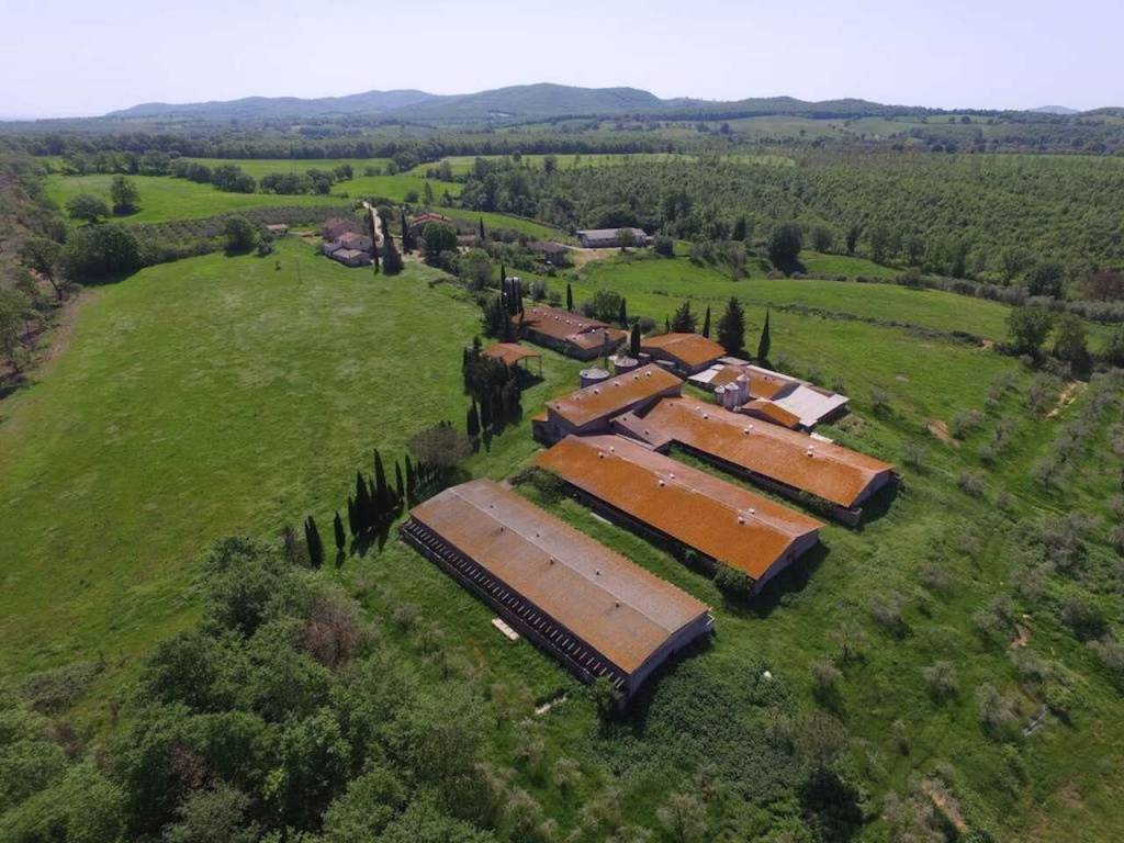 Immobile a Manciano in STRADA REGIONALE 74 MAREMMANA , - Foto 3