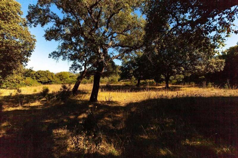 Terreno a Telti in località Aratena - Foto 2