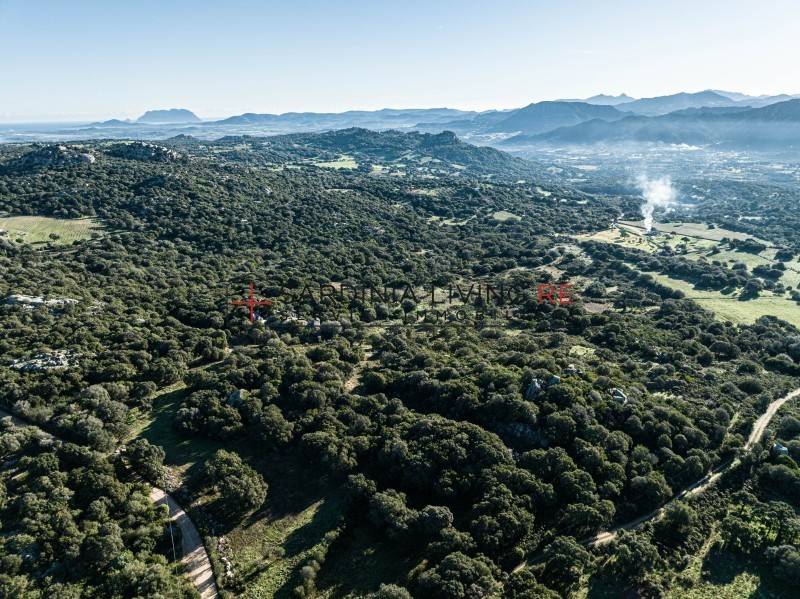 Terreno a Telti in località Aratena - Foto 3