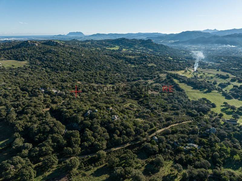 Terreno a Telti in località Aratena - Foto 4