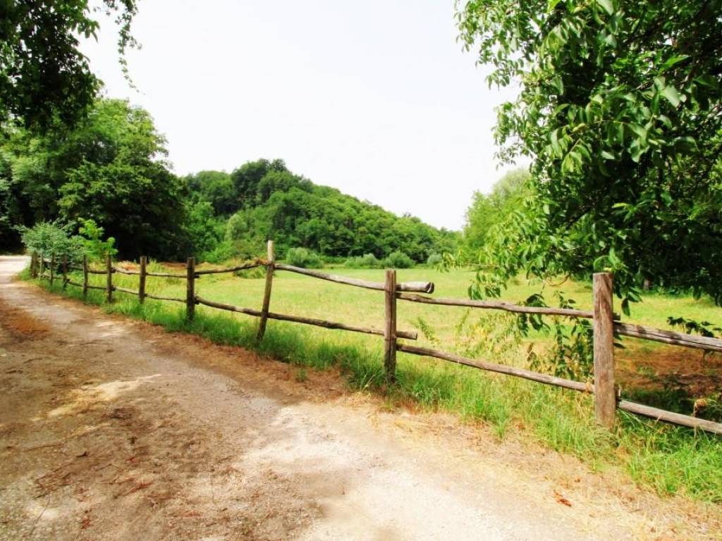 Terreno a Paliano - Foto 2