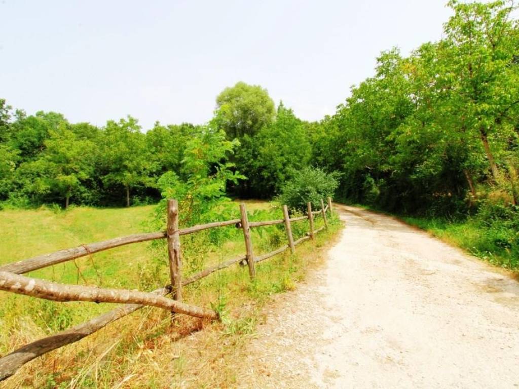 Terreno a Paliano - Foto 3