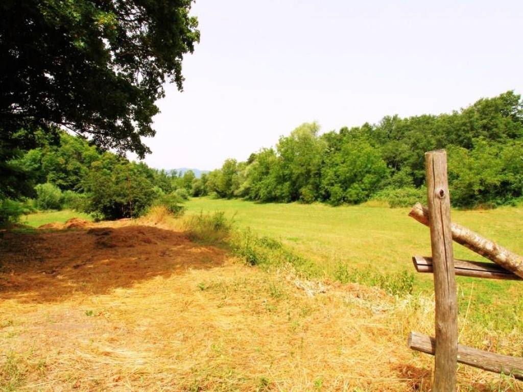 Terreno a Paliano - Foto 4