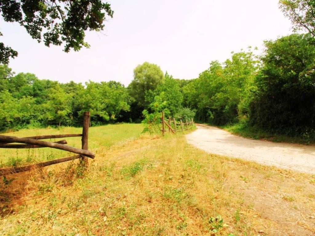 Terreno a Paliano - Foto 5