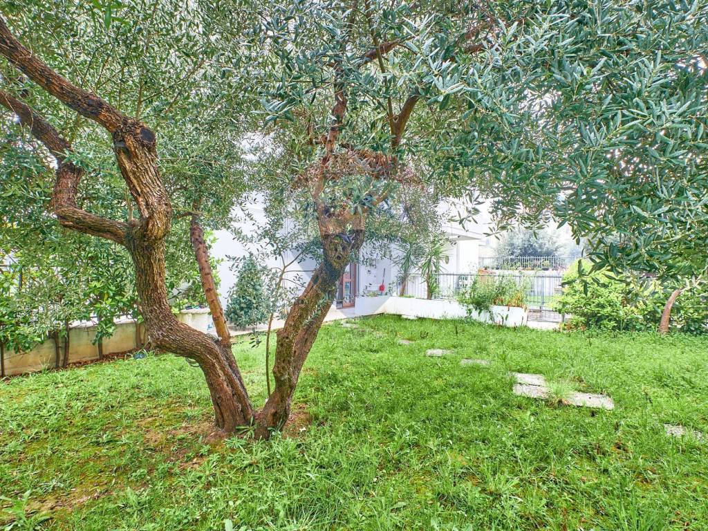 Appartamento a Spoltore in Via Giovanni Verga, 3 - Foto 3