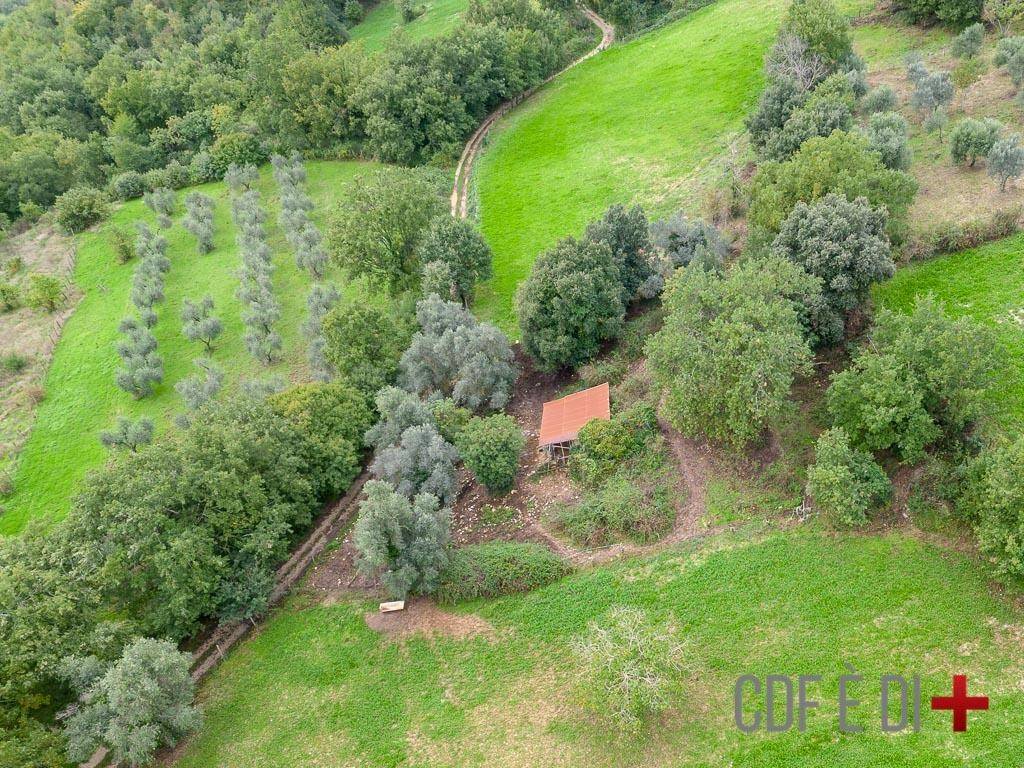 Rustico / casale a Contigliano in Via della Lanna - Foto 4