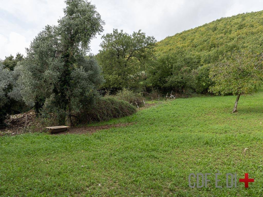 Rustico / casale a Contigliano in Via della Lanna - Foto 5