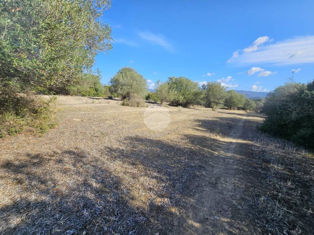 Terreno a Quartucciu in Via Dei Gelsi - Foto 2
