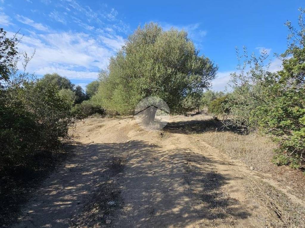 Terreno a Quartucciu in Via Dei Gelsi - Foto 3