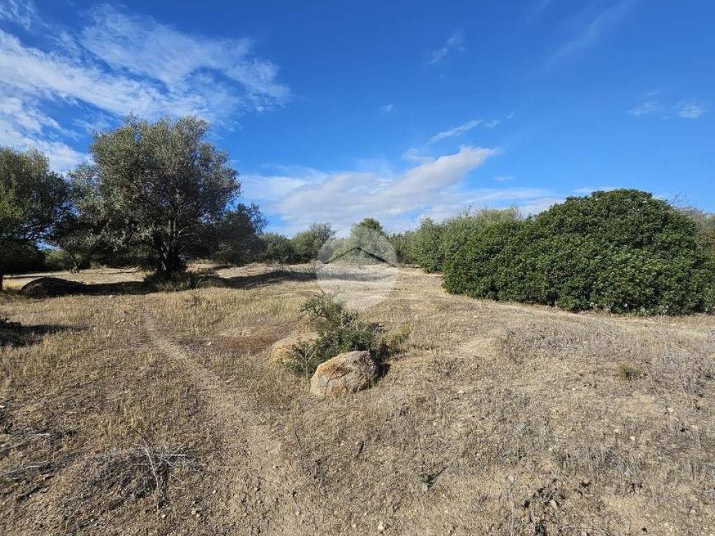 Terreno a Quartucciu in Via Dei Gelsi - Foto 4