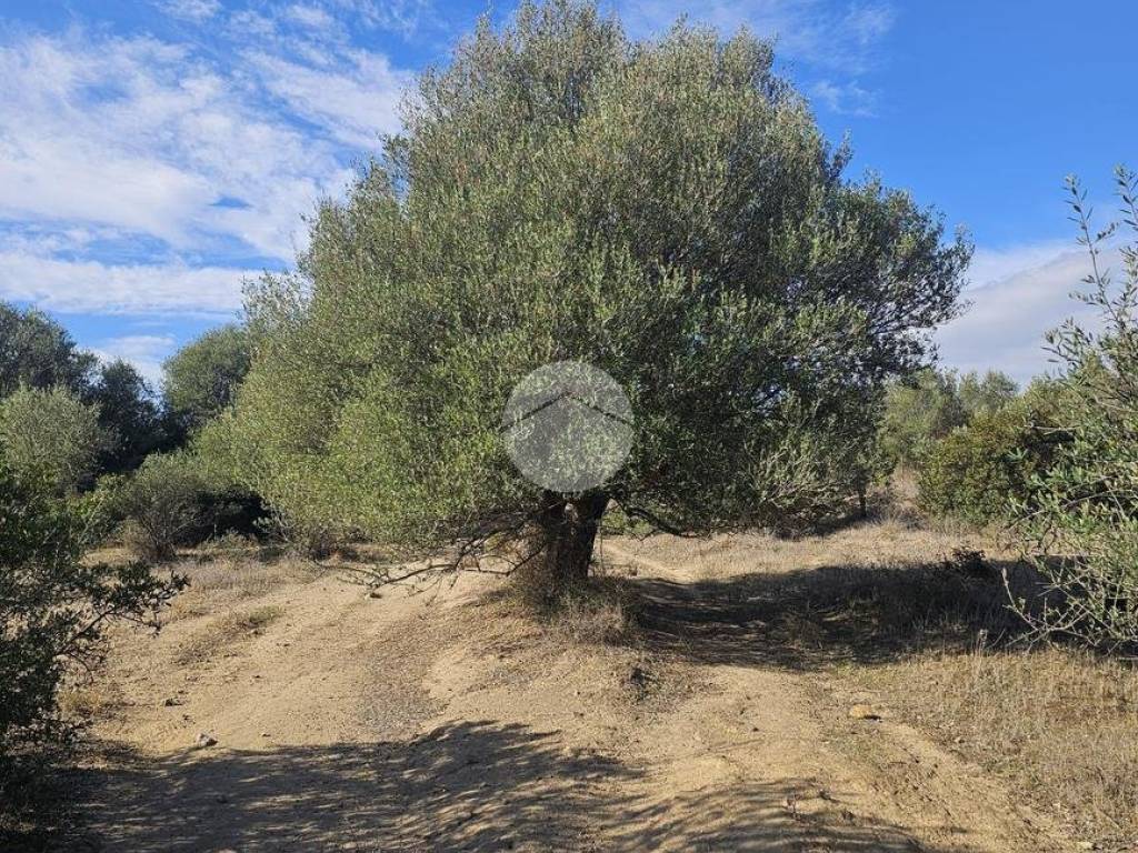 Terreno a Quartucciu in Via Dei Gelsi - Foto 5