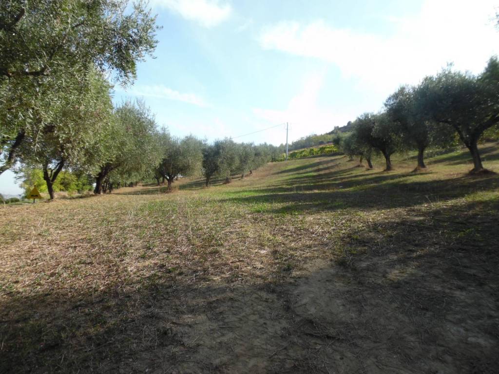 Terreno a Controguerra in Contrada Coste Tronto - Foto 2