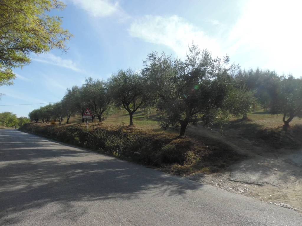 Terreno a Controguerra in Contrada Coste Tronto - Foto 3