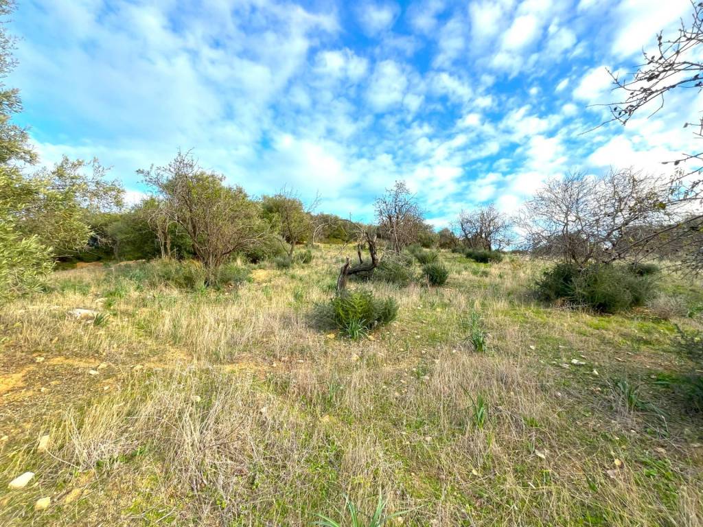 Terreno a Villasimius in LOCALITà MANUNZAS - Foto 2