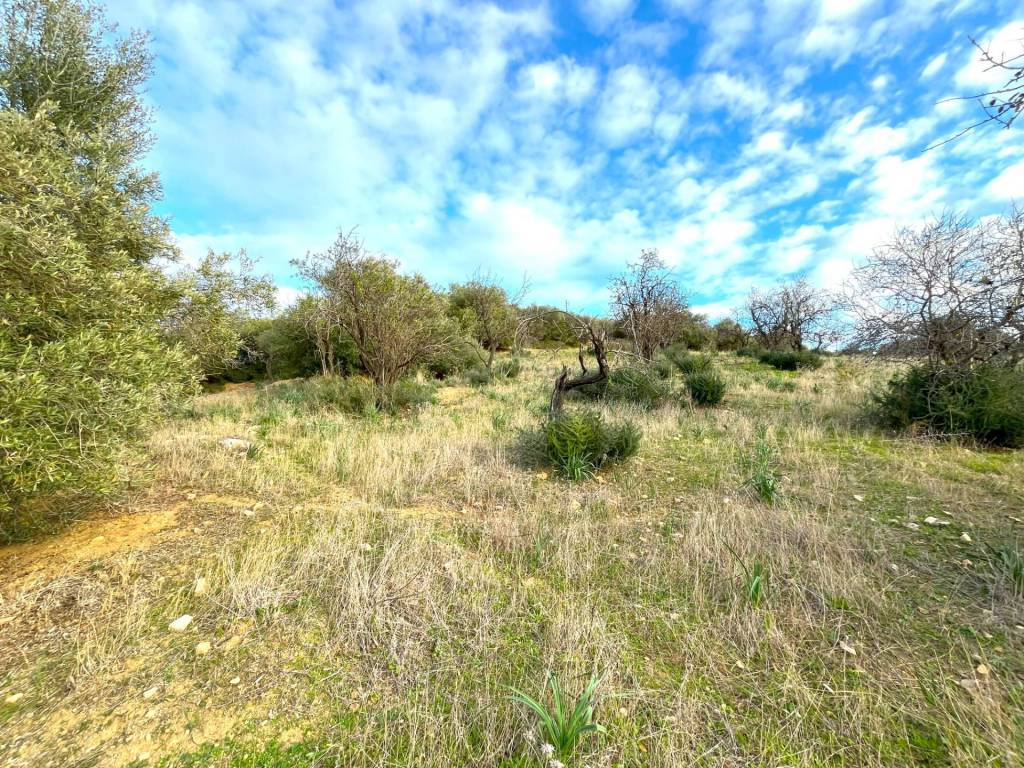 Terreno a Villasimius in LOCALITà MANUNZAS - Foto 3
