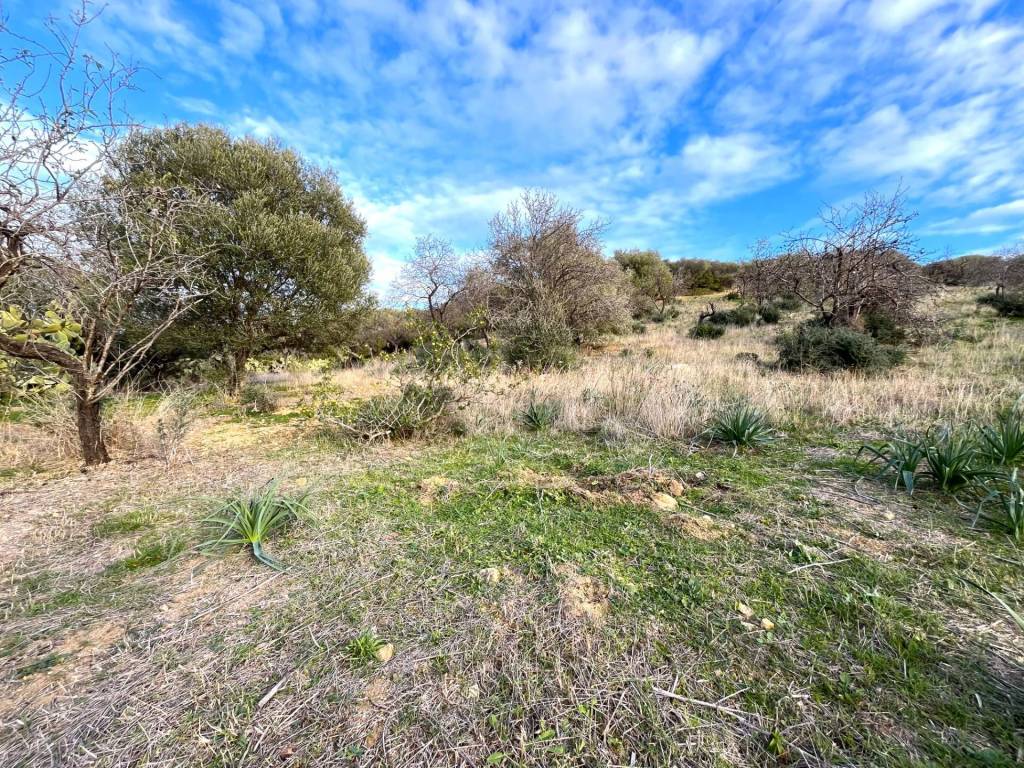 Terreno a Villasimius in LOCALITà MANUNZAS - Foto 4