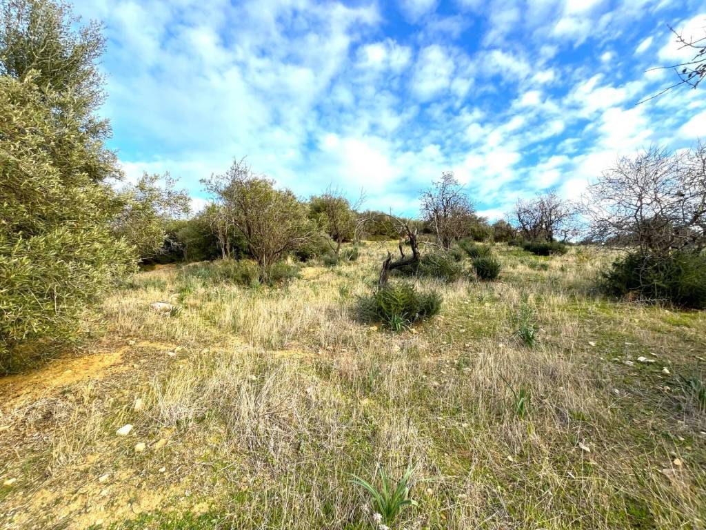 Terreno a Villasimius in LOCALITà MANUNZAS - Foto 5