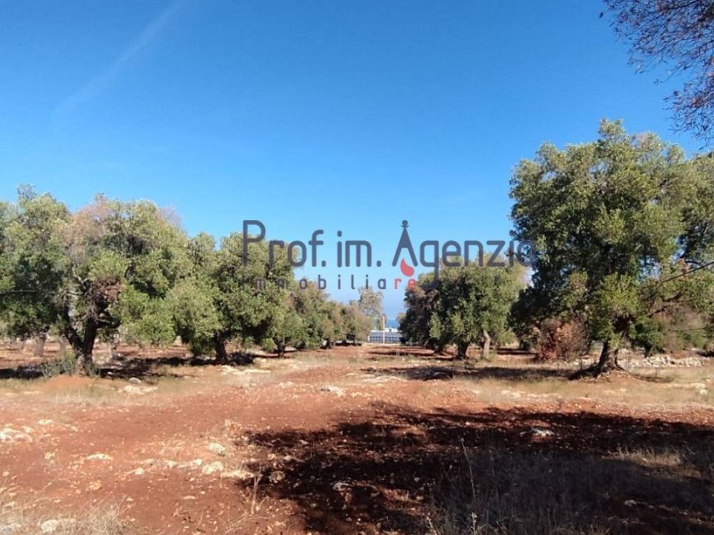 Terreno a Carovigno - Foto 2