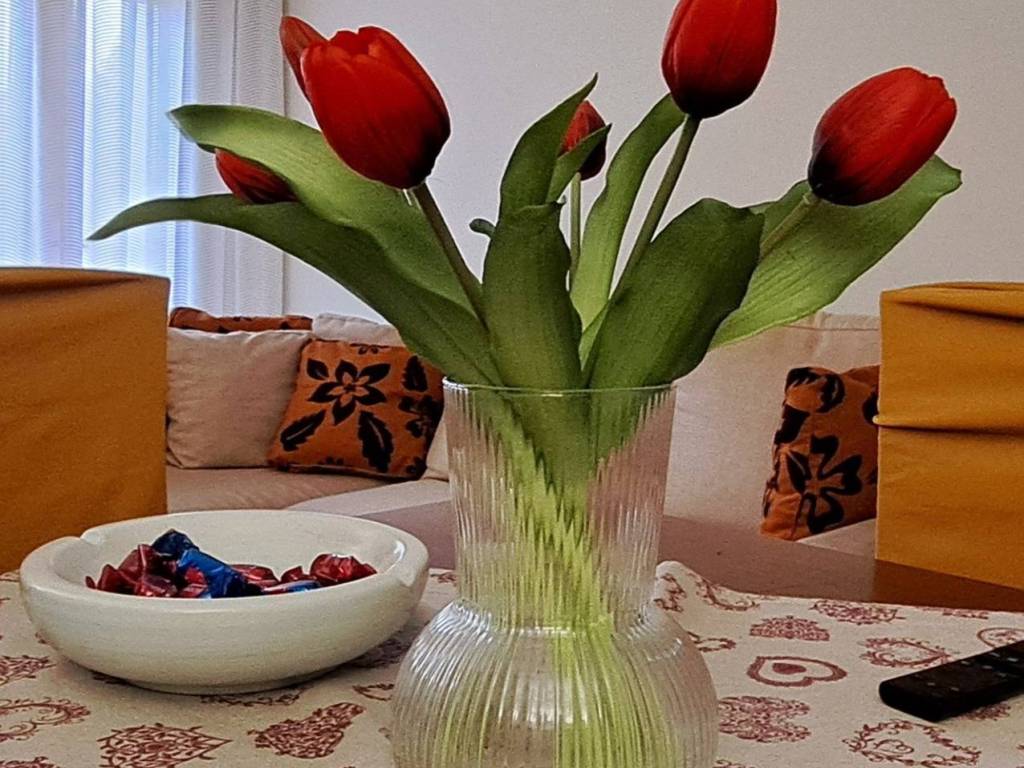 Appartamento a Scorzè - Foto 3