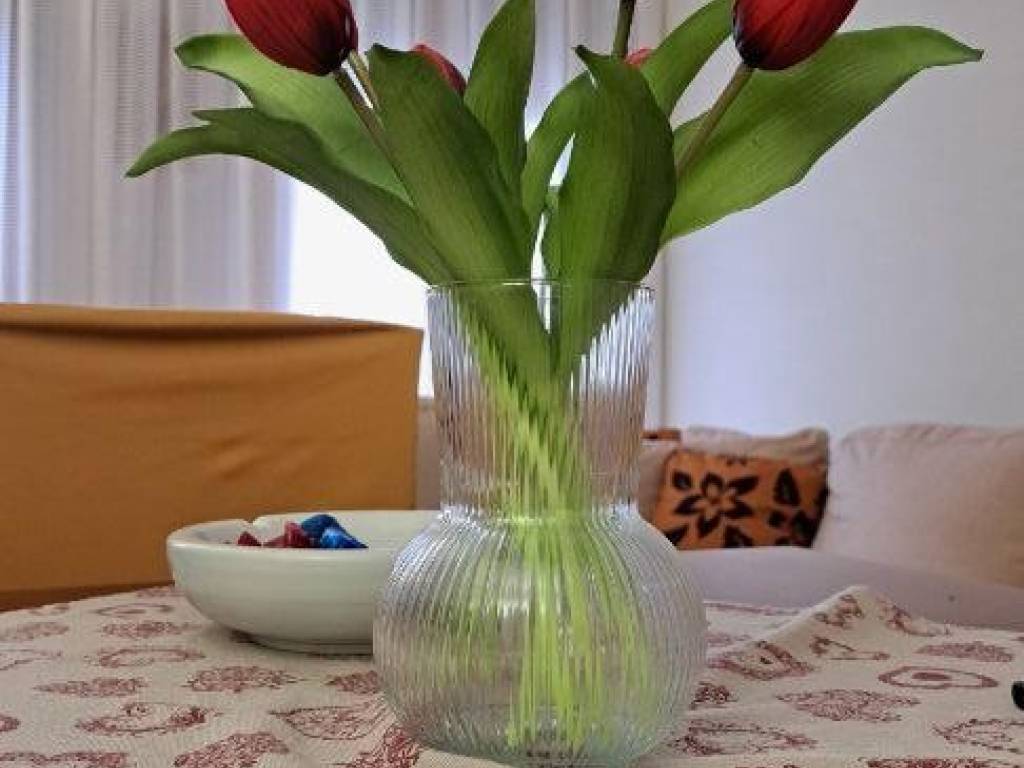 Appartamento a Scorzè - Foto 5