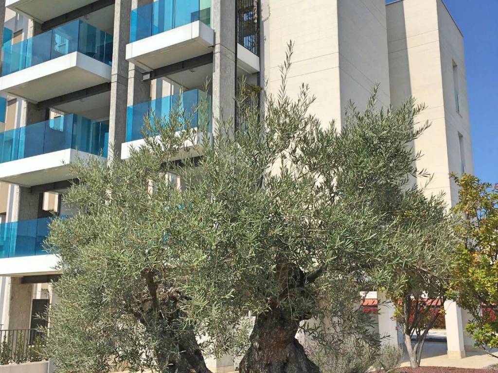 Appartamento a Senigallia in Via Podesti, 75 - Foto 5