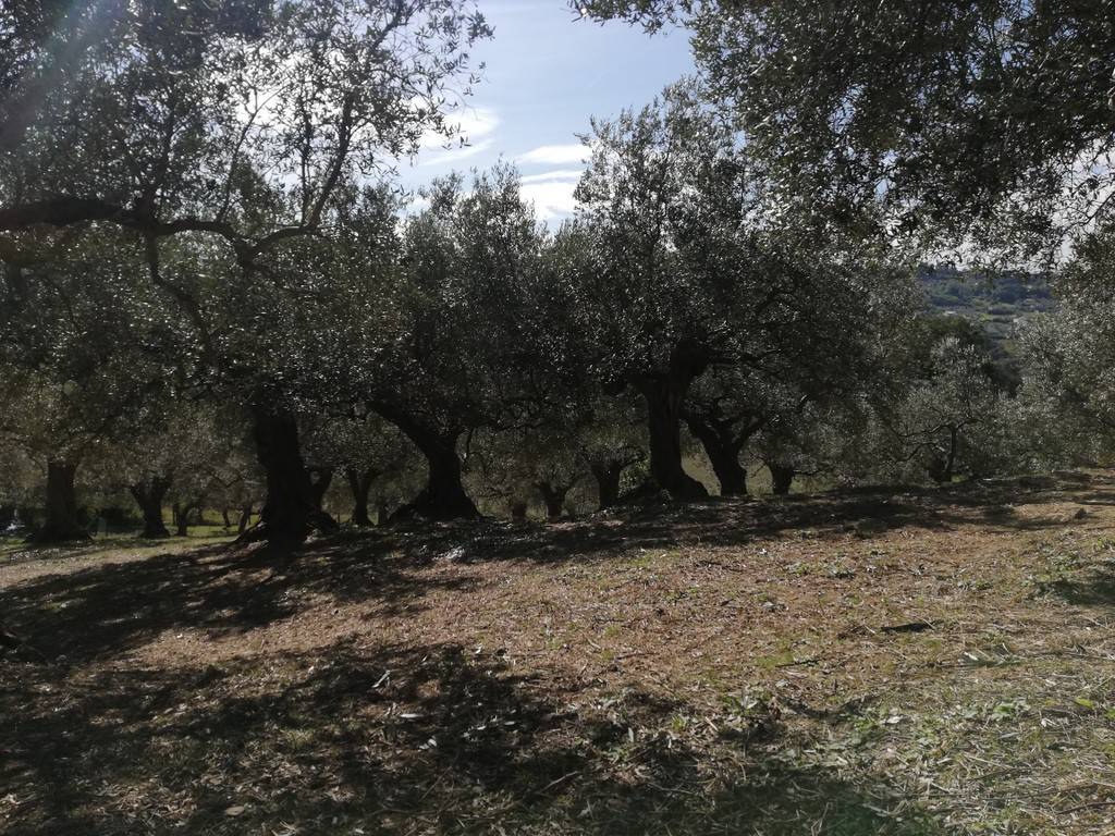 Terreno a Caiazzo in Via Ponte Commissario - Foto 3