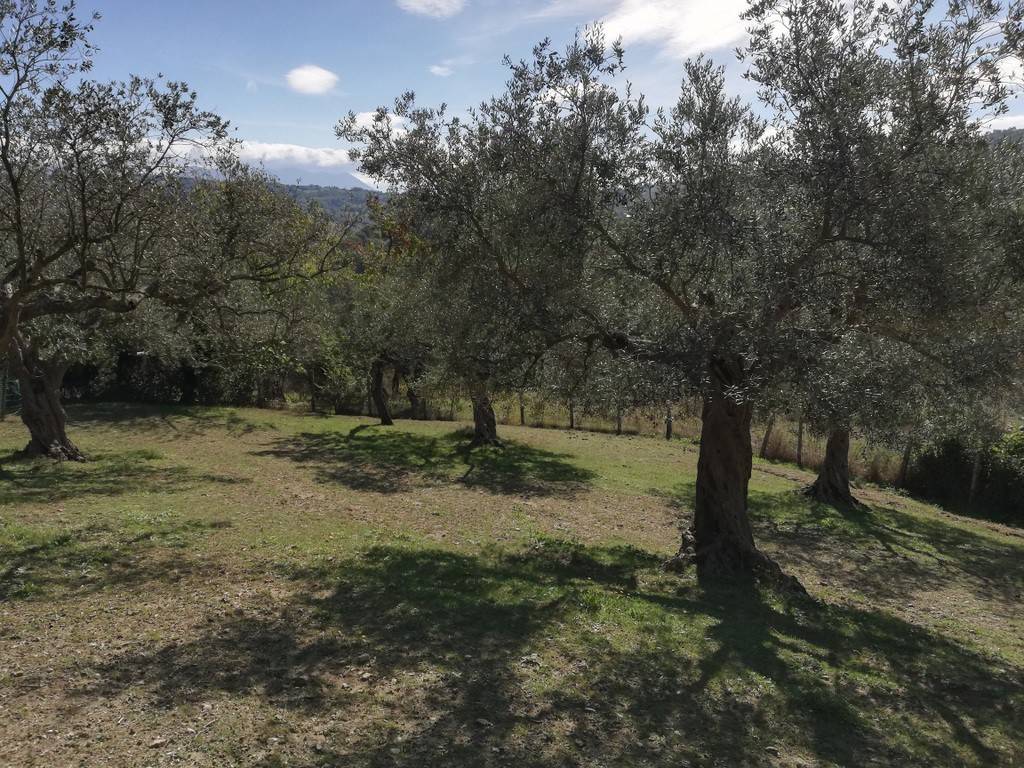Terreno a Caiazzo in Via Ponte Commissario - Foto 5