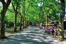 Appartamento a Camaiore - Foto 3