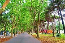 Appartamento a Camaiore - Foto 5