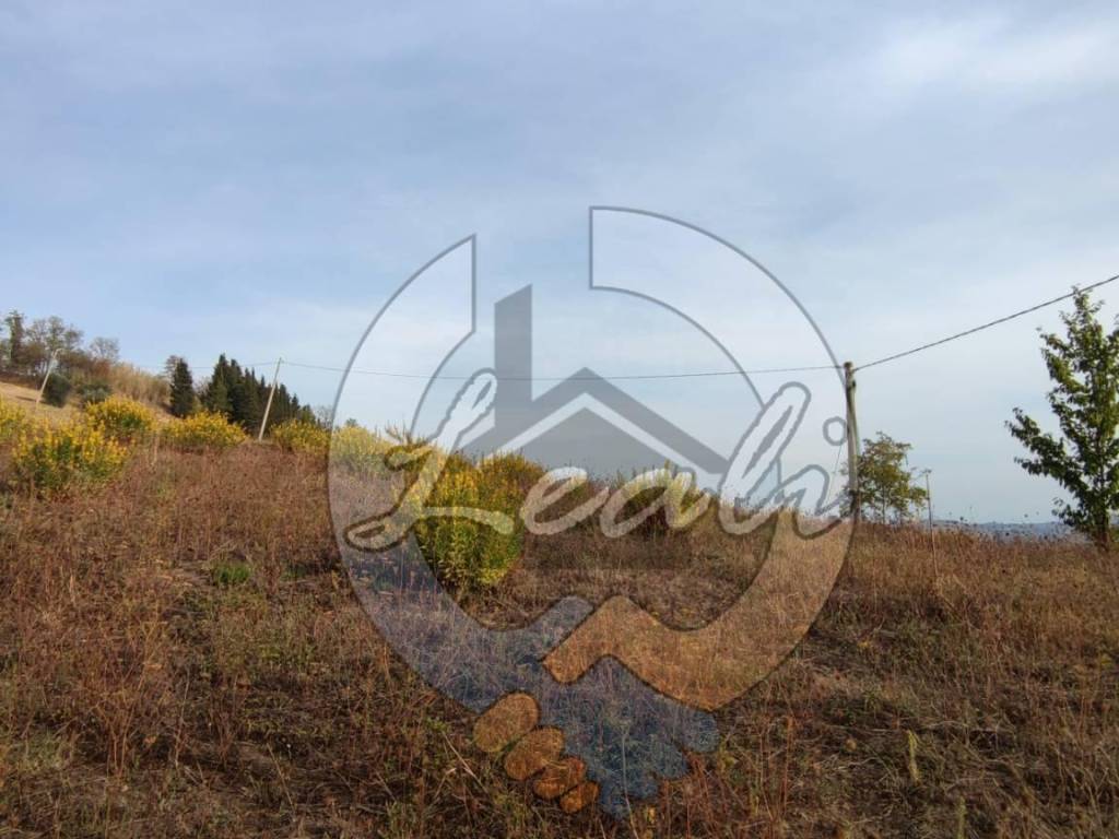 Terreno a Montegiorgio in C.da Santa Lucia - Foto 3