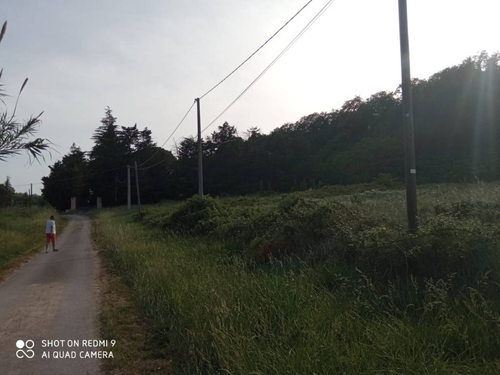 Terreno a Francavilla al mare in Strada Masseria Farina, 19 - Foto 5