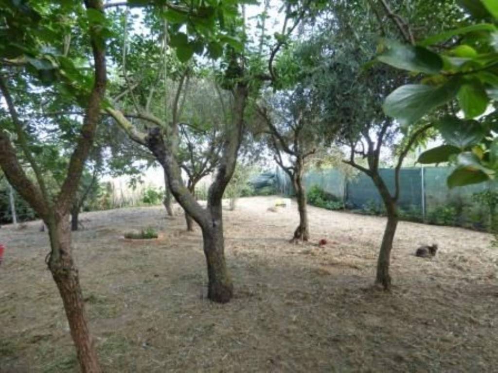 Villa a Macomer in Viale Santa Maria - Foto 5