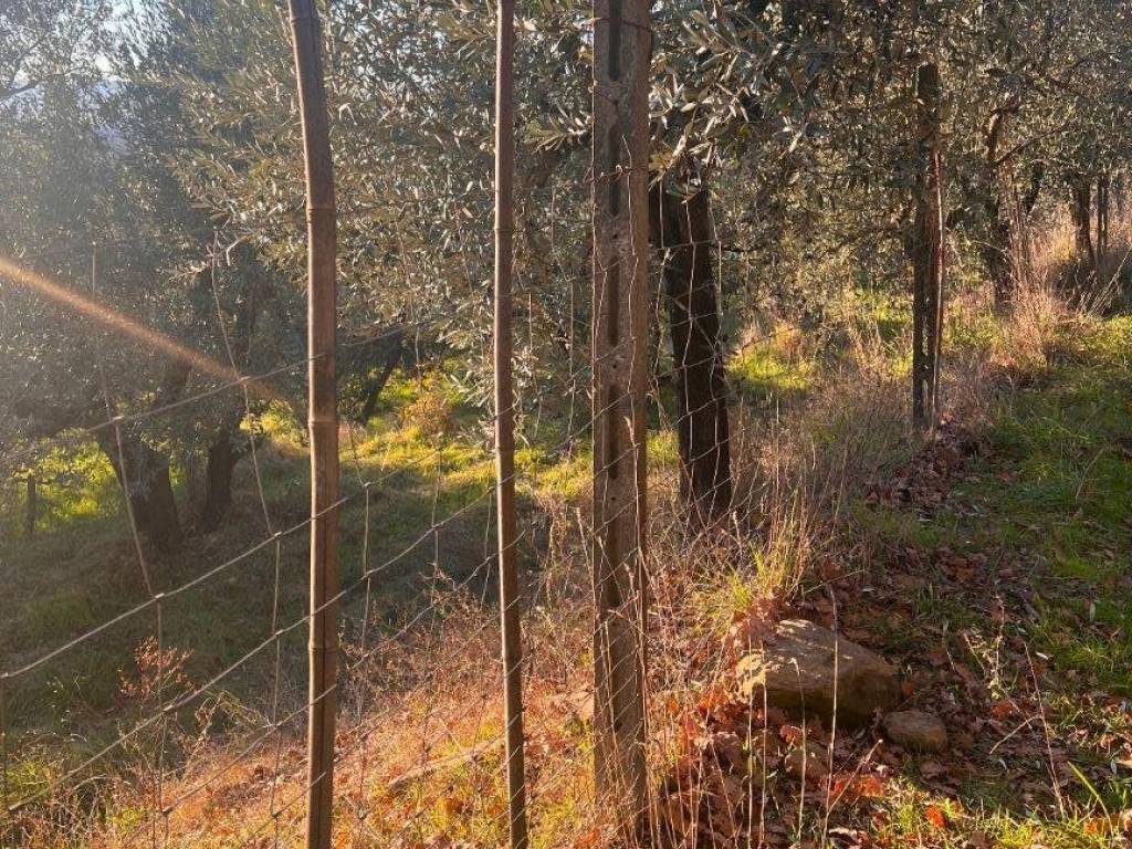 Terreno a Loro ciuffenna in Via 7 Ponti Levante - Foto 2