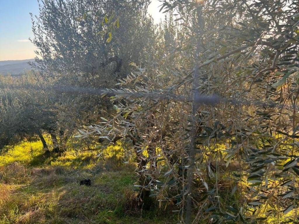 Terreno a Loro ciuffenna in Via 7 Ponti Levante - Foto 4