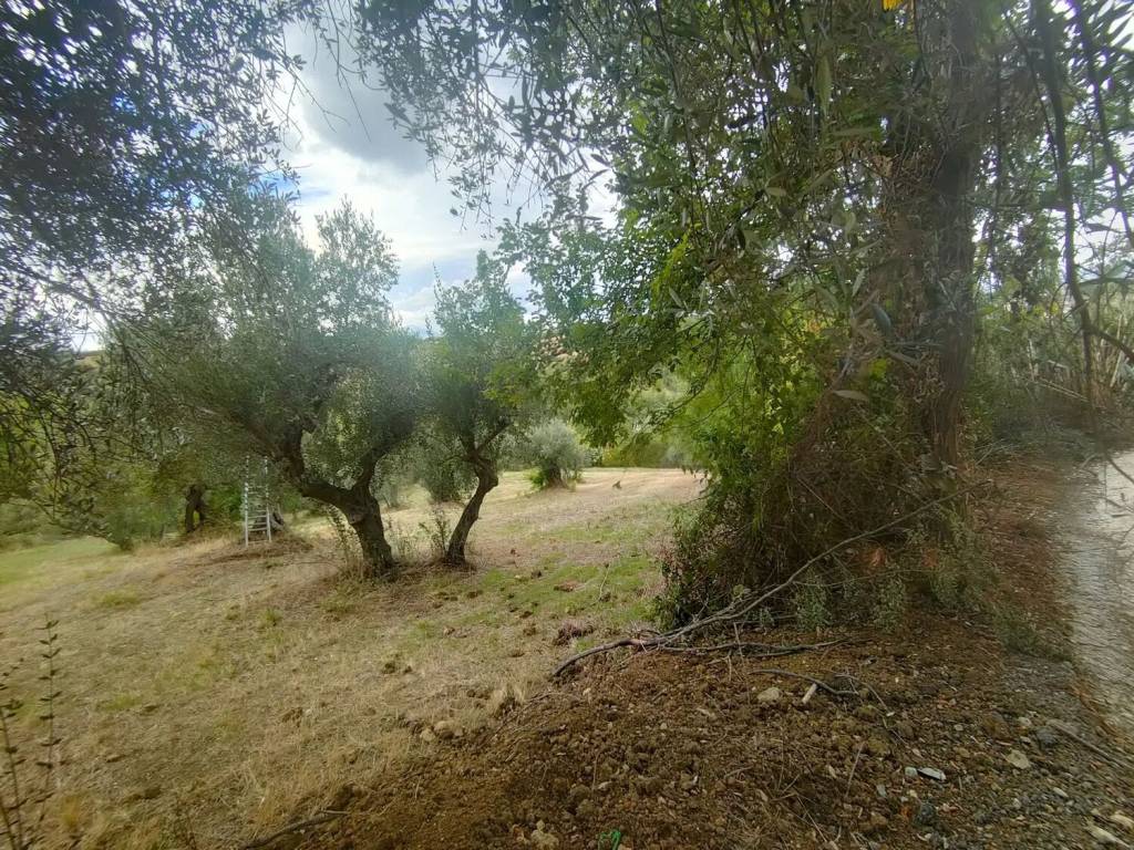 Terreno a Manoppello in Via Foce S.N.C. - Foto 2