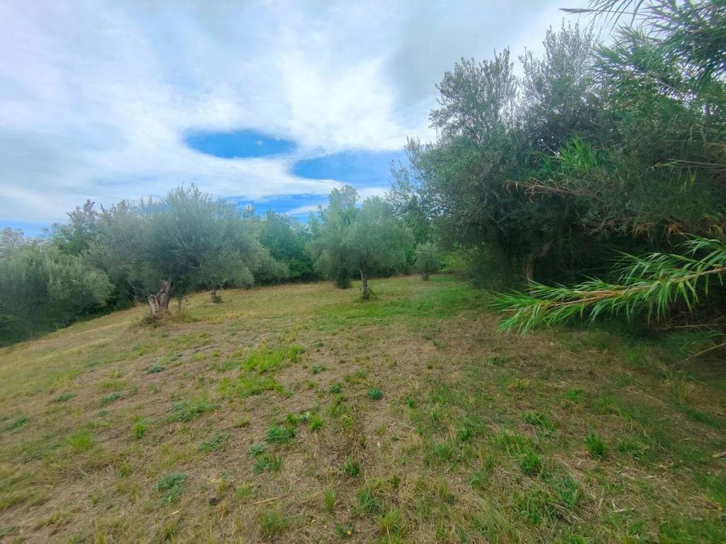 Terreno a Manoppello in Via Foce S.N.C. - Foto 3