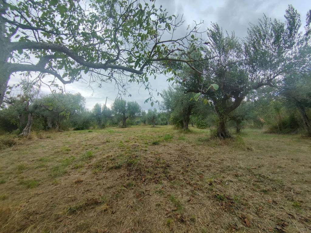 Terreno a Manoppello in Via Foce S.N.C. - Foto 4