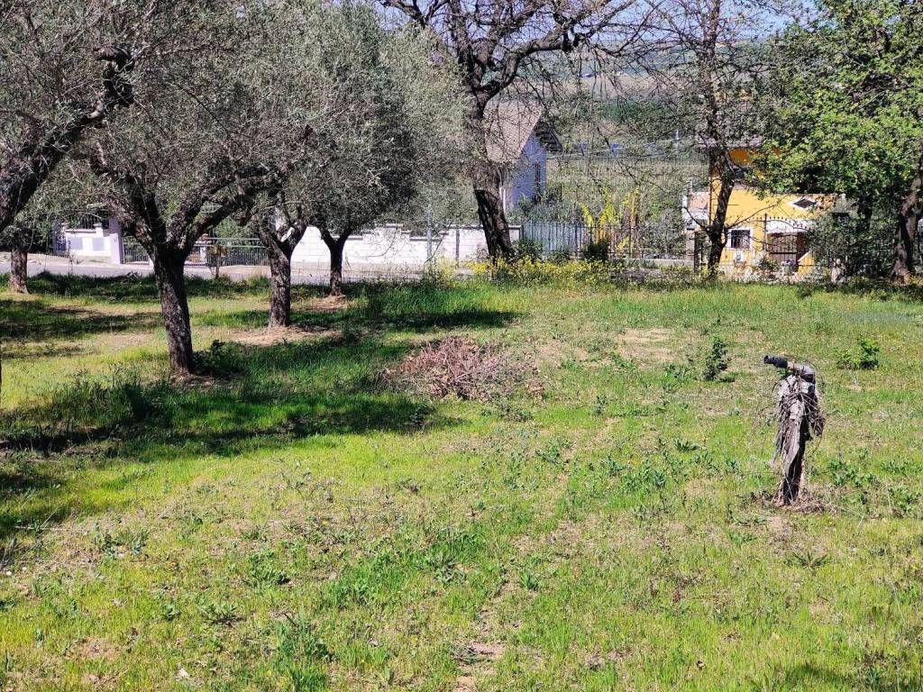 Terreno a Rosciano in Contrada San Martino - Foto 4